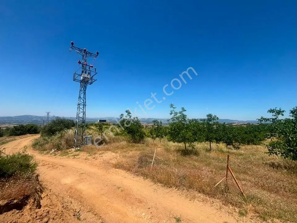 Tc Emlaktan Satılık ​ Toplam 220 Dönüm Arazi ! Fırsat ! — fotoğraf 32