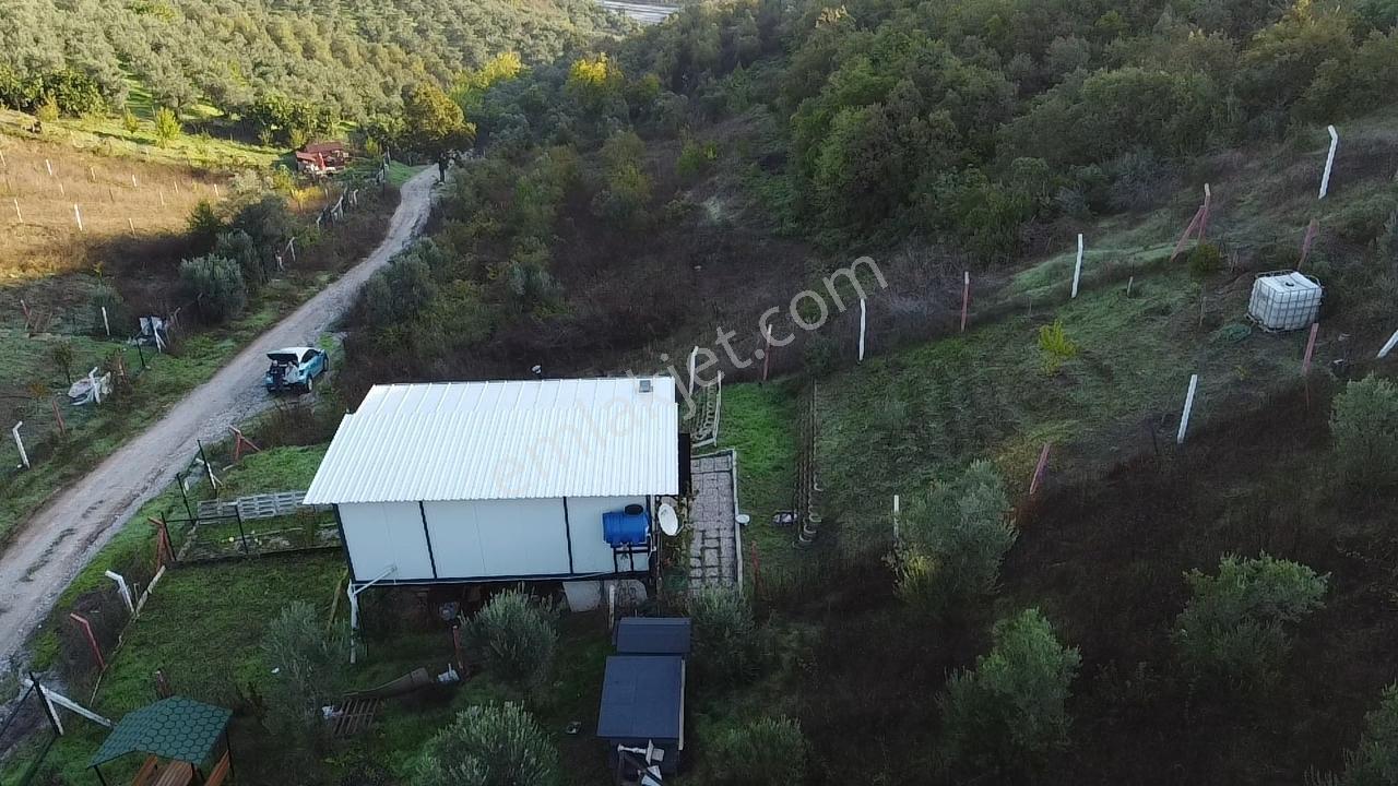 Gemlik Kurtul,da Bağ Evi Fırsat Yer — fotoğraf 4