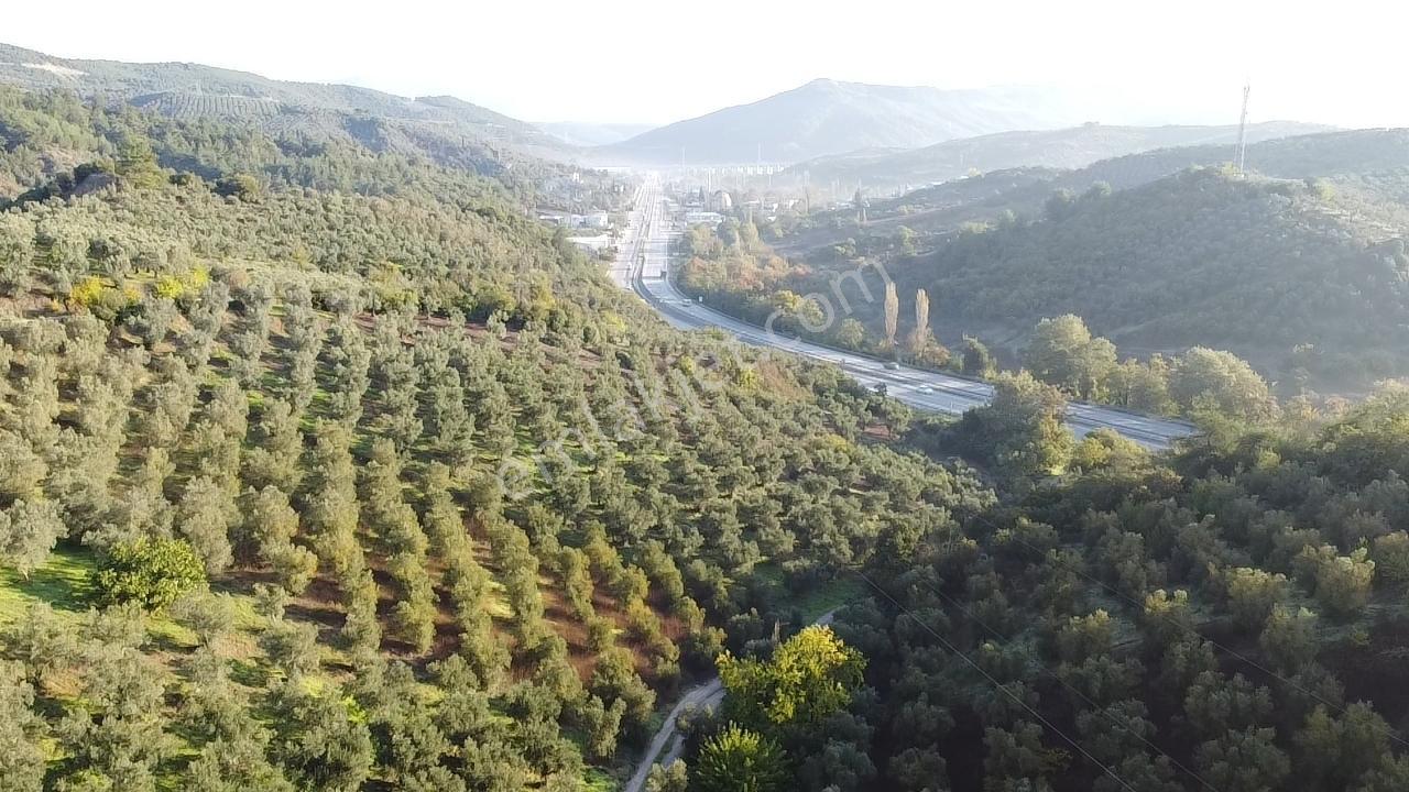 Gemlik Kurtul,da Bağ Evi Fırsat Yer — fotoğraf 7