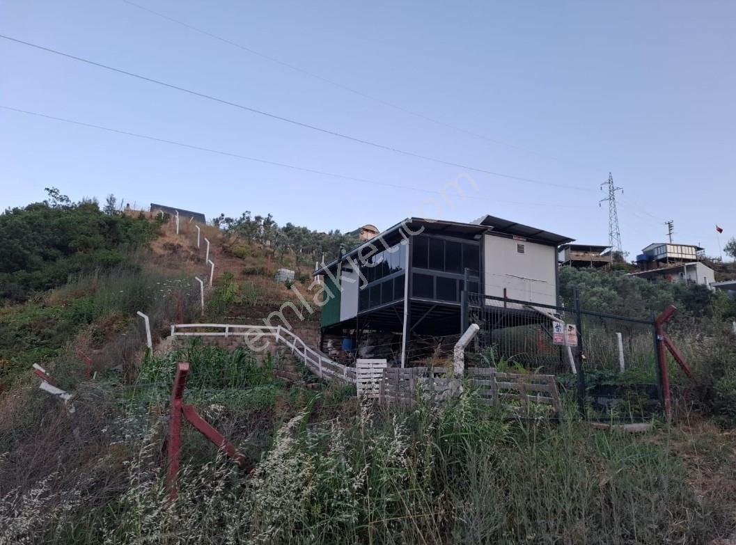 Gemlik Kurtul,da Bağ Evi Fırsat Yer — fotoğraf 30