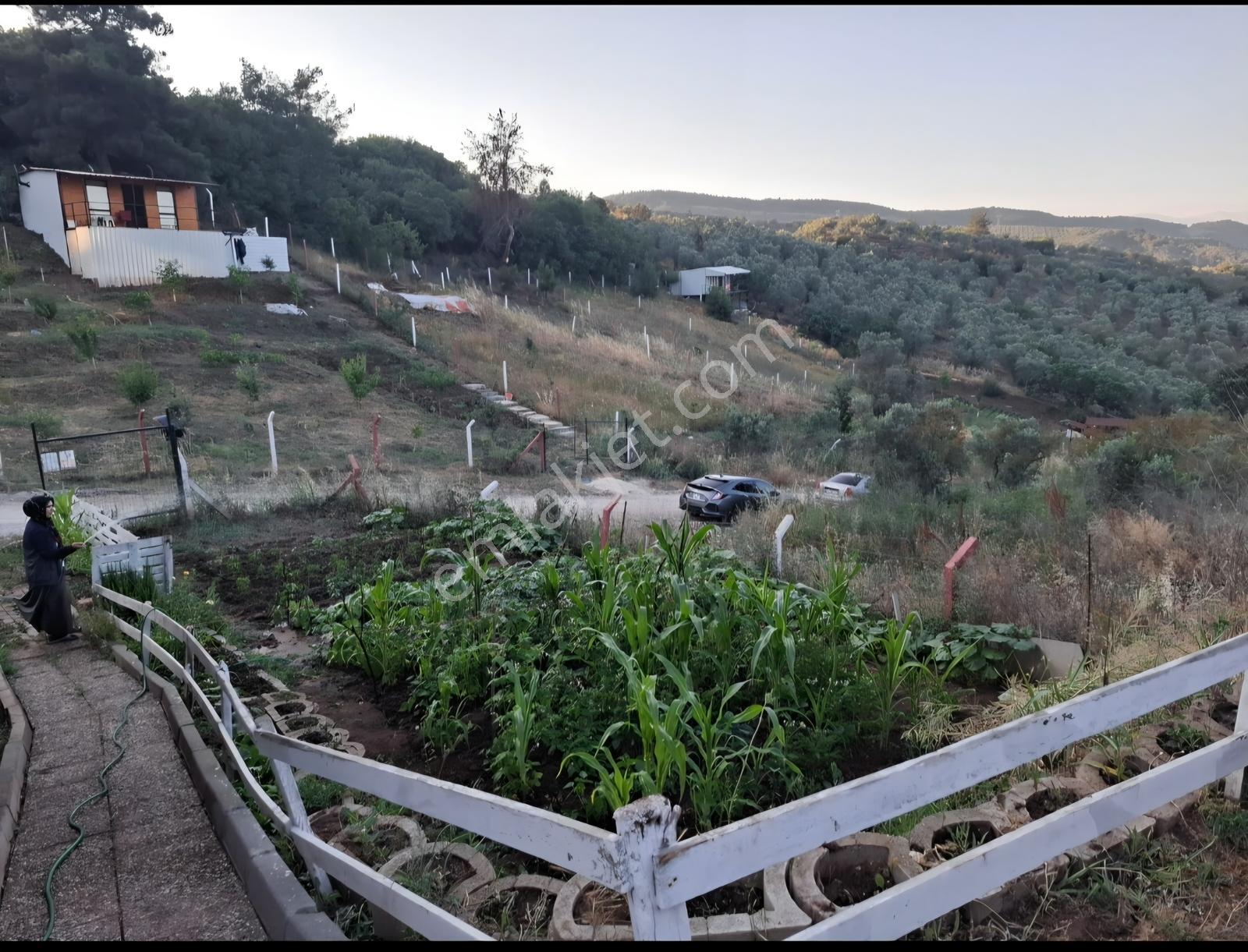Gemlik Kurtul,da Bağ Evi Fırsat Yer — fotoğraf 34