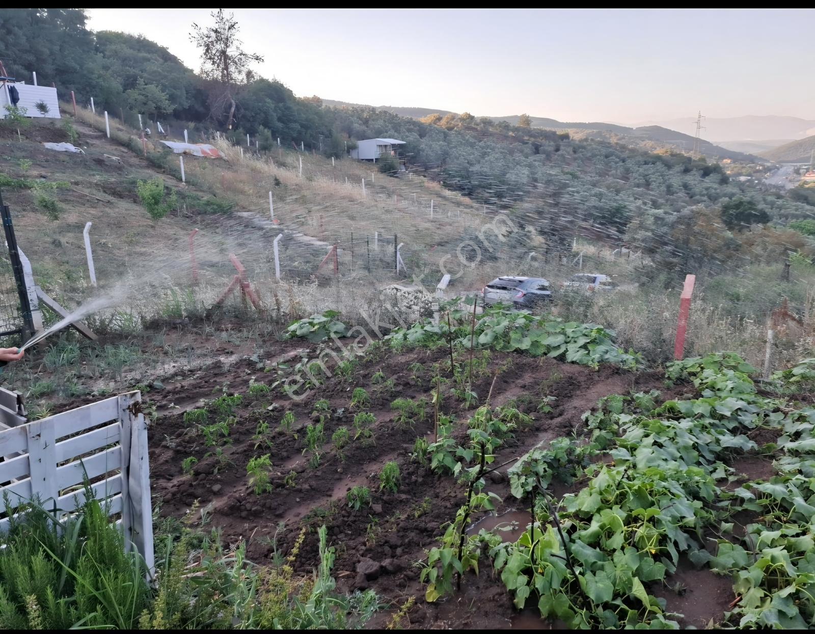 Gemlik Kurtul,da Bağ Evi Fırsat Yer — fotoğraf 35