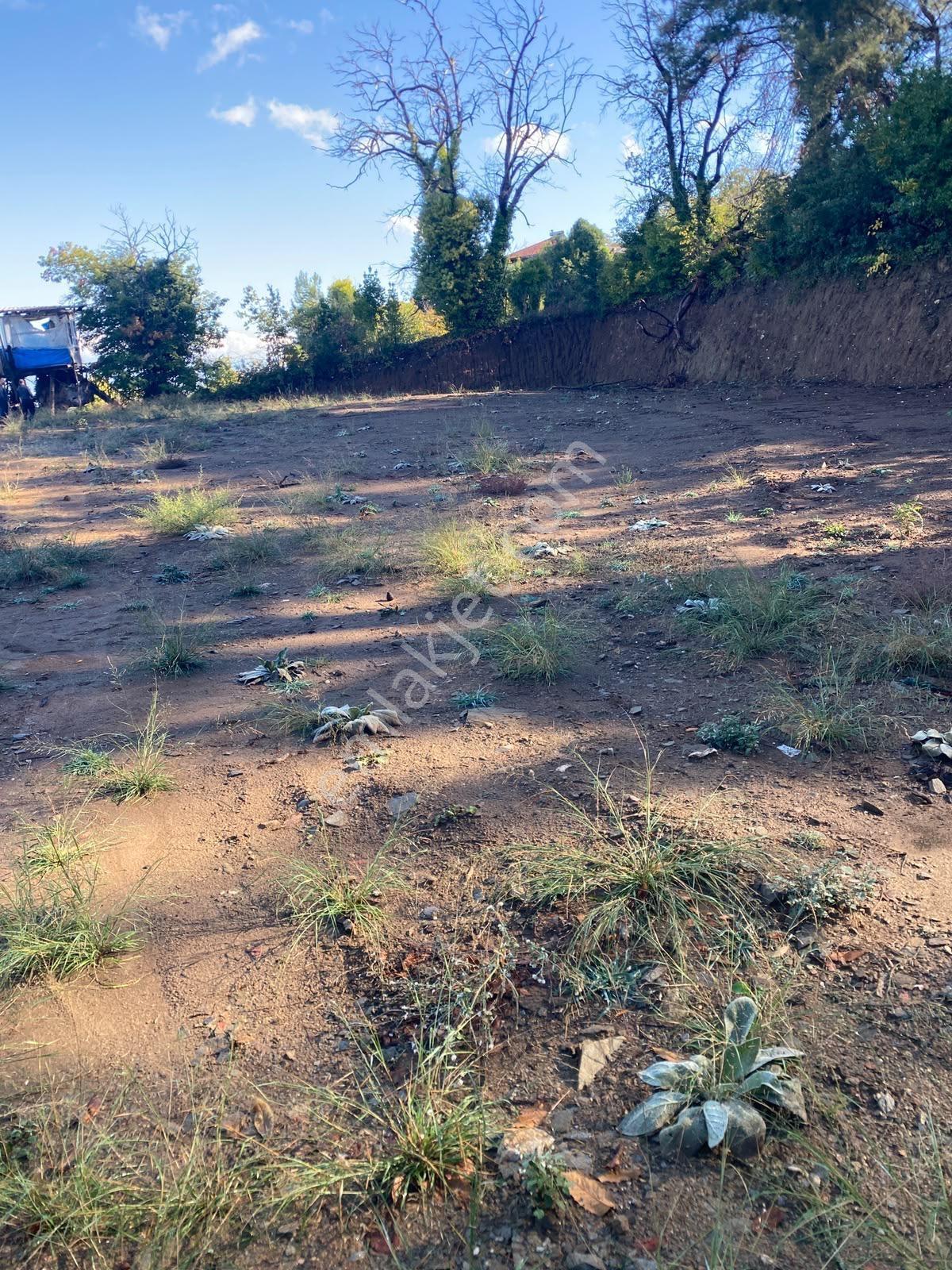 Tire Kaplanda Kesintisiz Şehir Manzaralı 4.892 M² Satılık Arazi