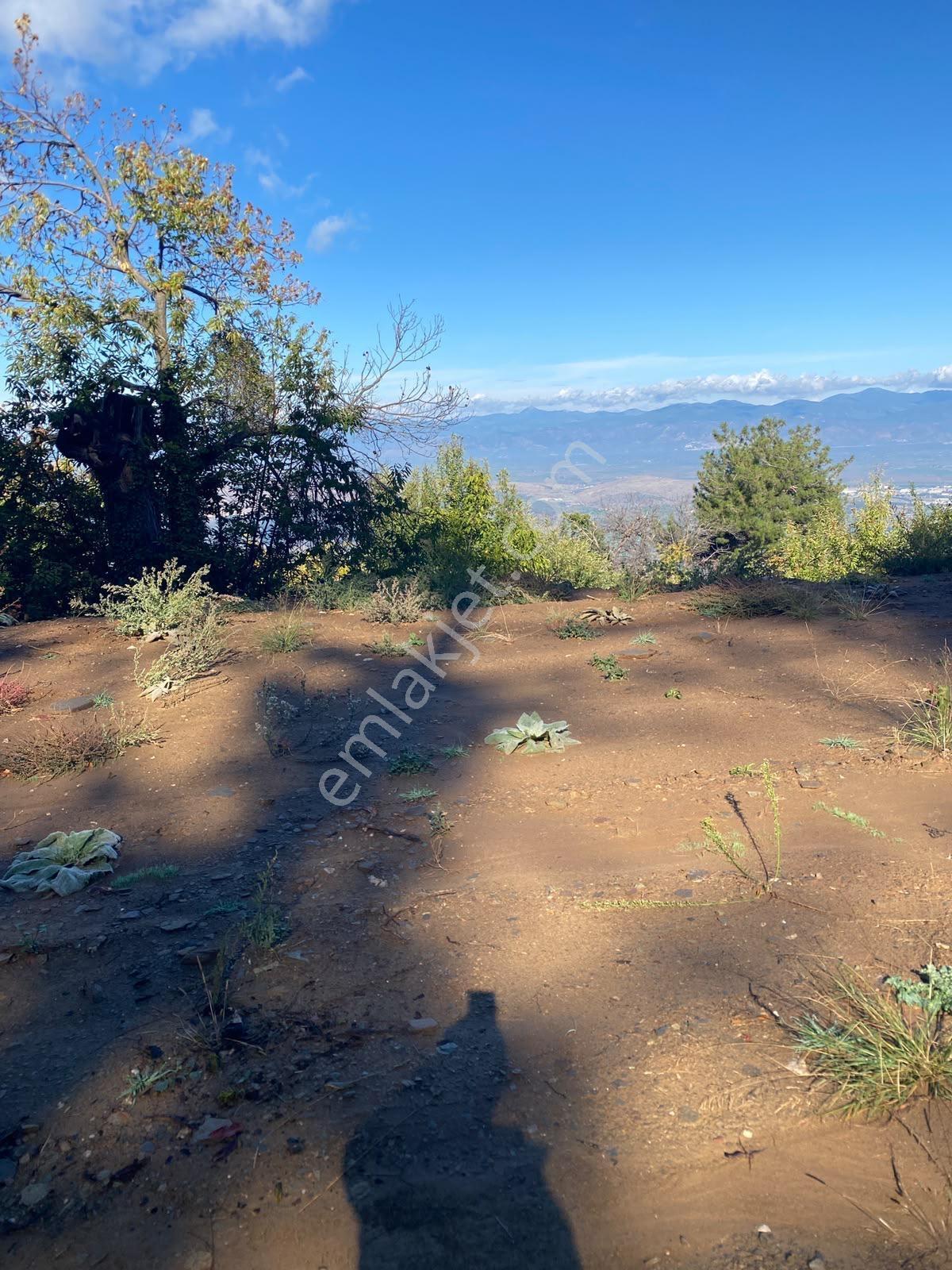 Tire Kaplanda Kesintisiz Şehir Manzaralı 4.892 M² Satılık Arazi — fotoğraf 2