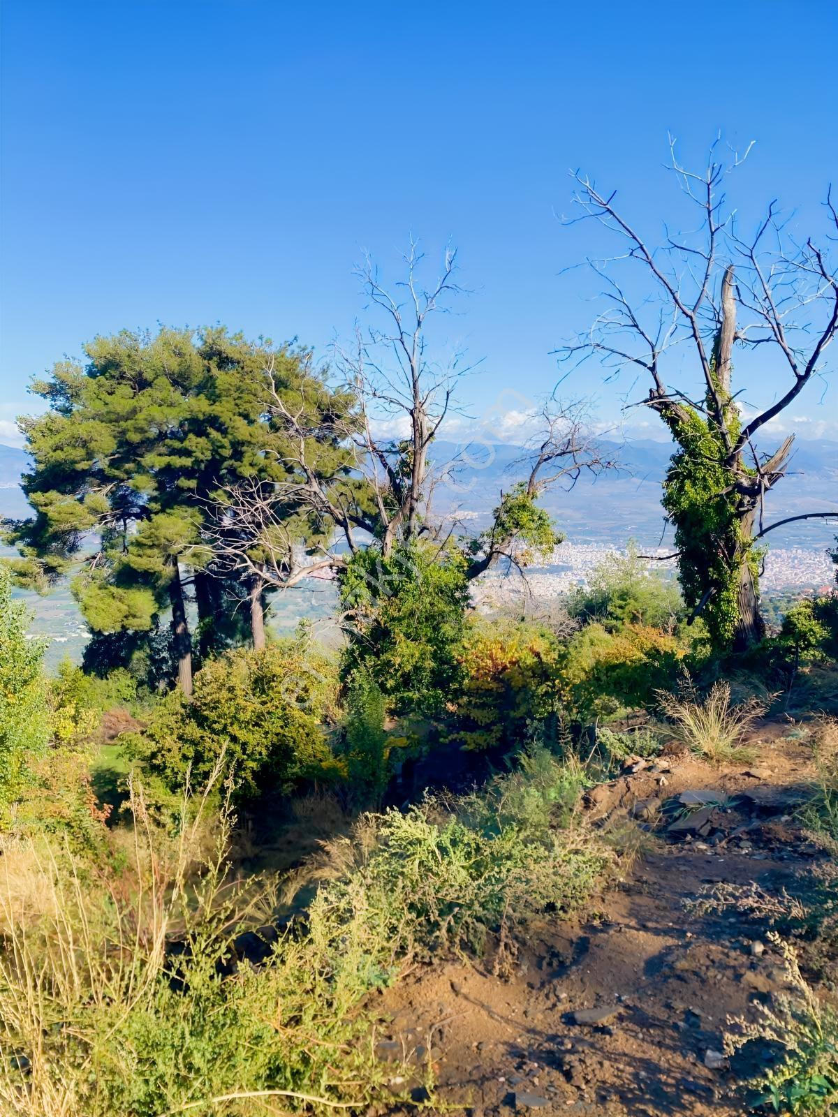 Tire Kaplanda Kesintisiz Şehir Manzaralı 4.892 M² Satılık Arazi — fotoğraf 7