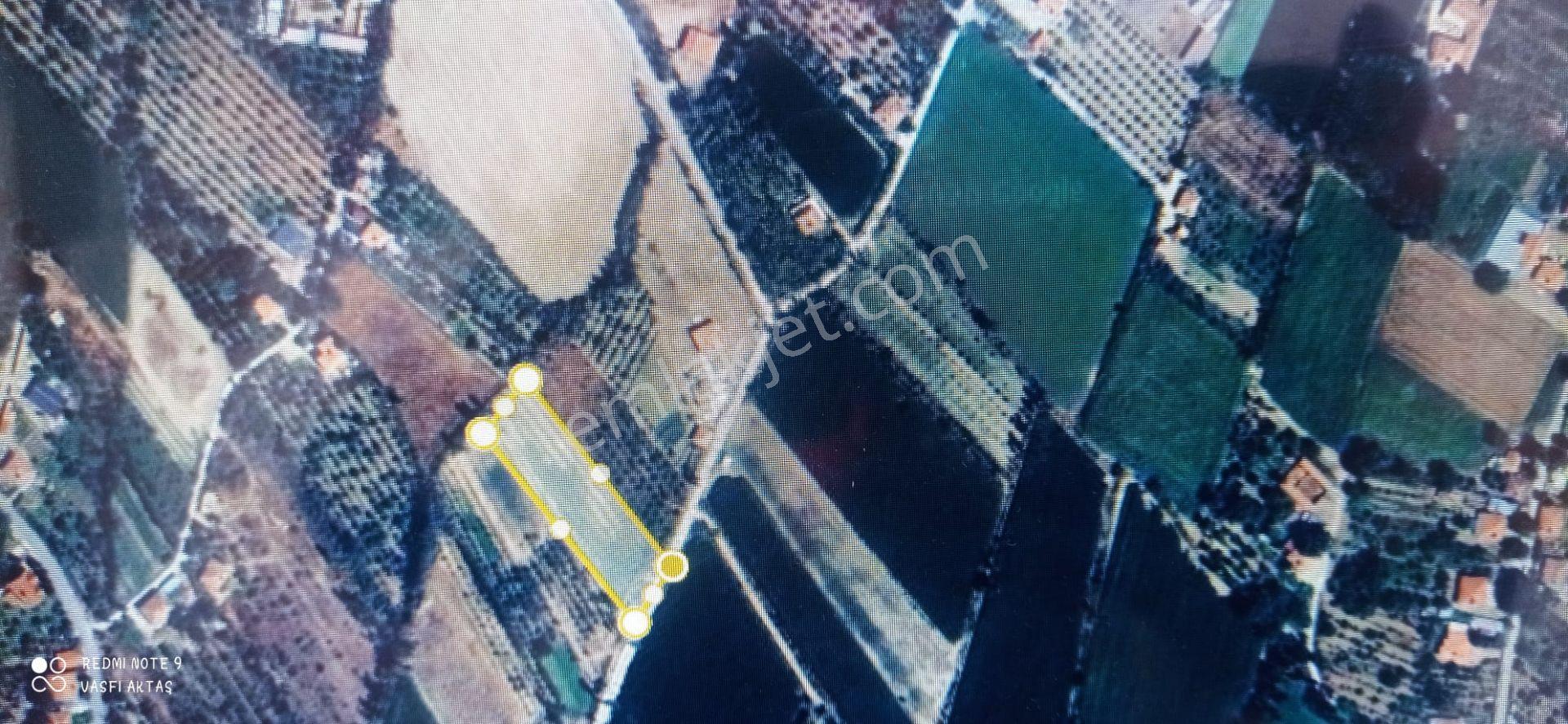Ereğli Yazlık Mahallesi'nde Satılık 3221 M² Bahçe — fotoğraf 3