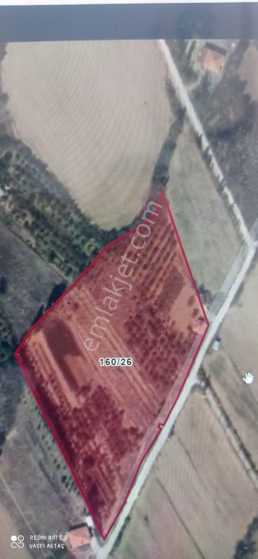 Ereğli Yazlık Mahallesi'nde Satılık 3221 M² Bahçe — fotoğraf 5
