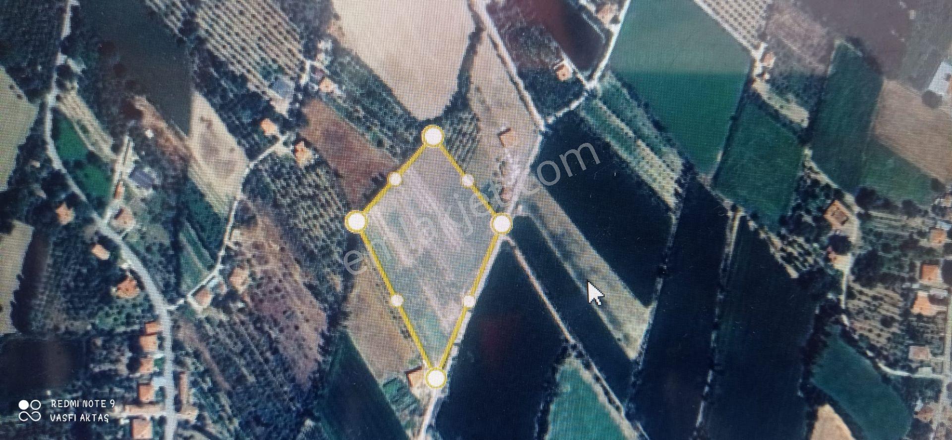 Ereğli Yazlık Mahallesi'nde Satılık 3221 M² Bahçe — fotoğraf 6