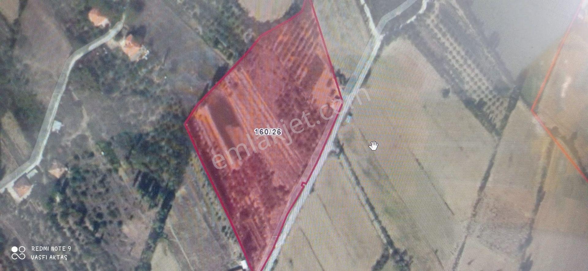Ereğli Yazlık Mahallesi'nde Satılık 3221 M² Bahçe — fotoğraf 9