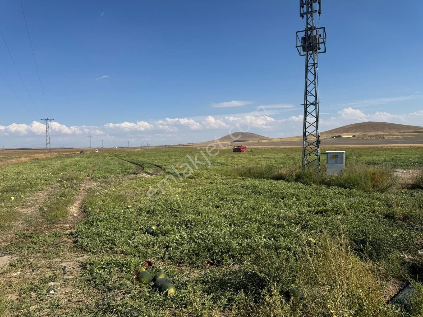 Konya Eregli Zengen 100 Dönüm Tektapu Verimli Satılık Tarla — fotoğraf 5
