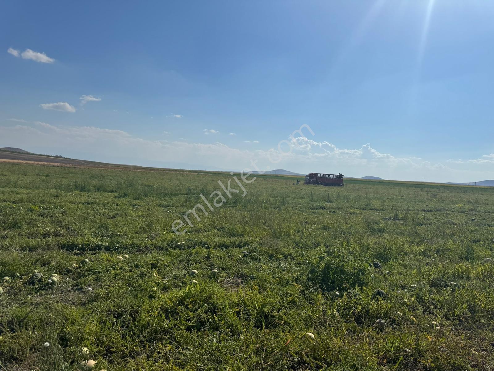 Konya Eregli Zengen 100 Dönüm Tektapu Verimli Satılık Tarla — fotoğraf 7
