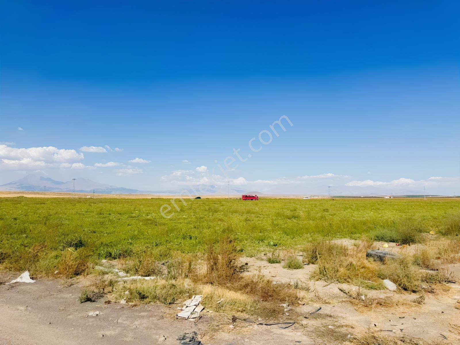 Konya Eregli Zengen 100 Dönüm Tektapu Verimli Satılık Tarla — fotoğraf 10