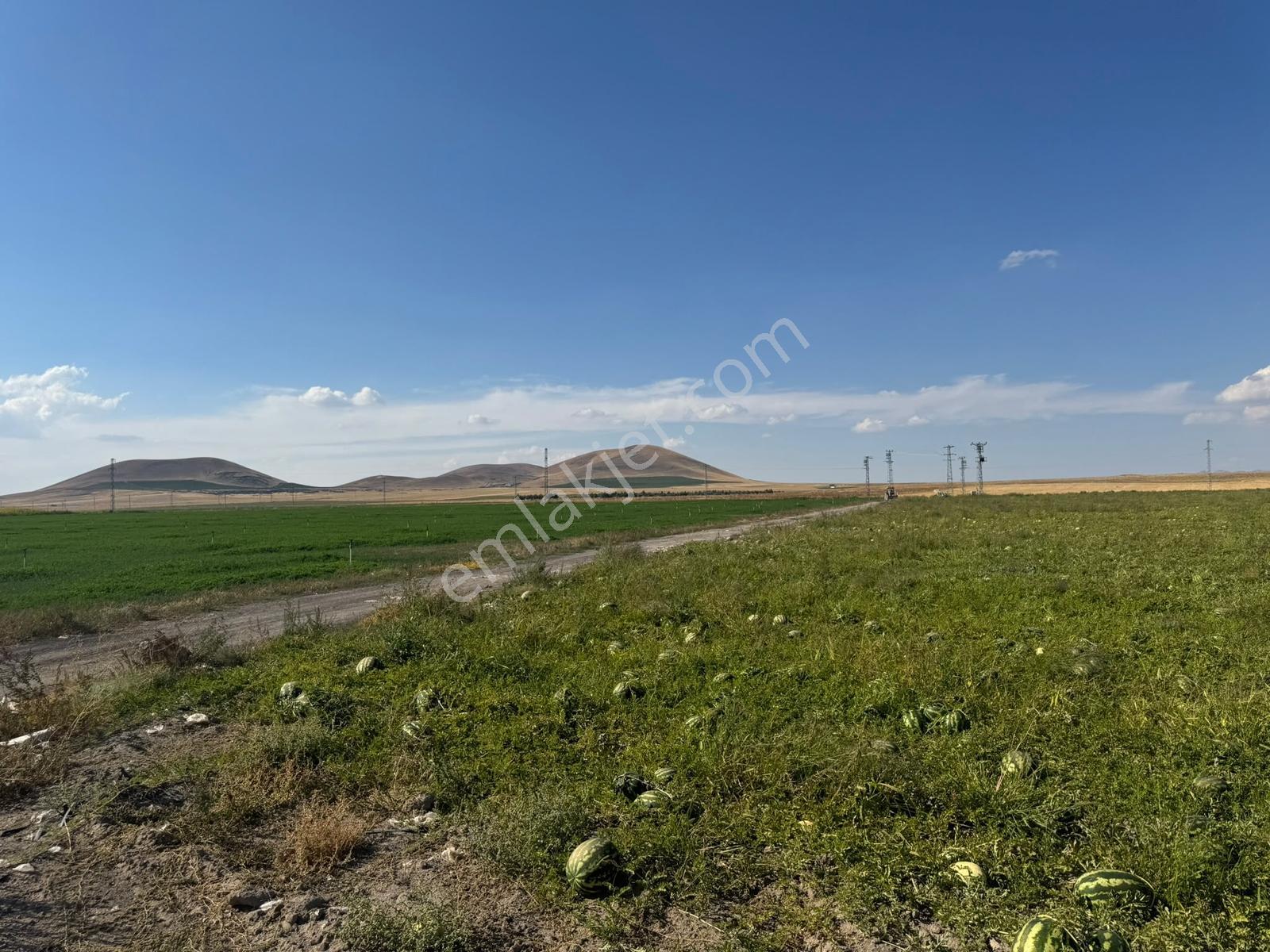 Konya Eregli Zengen 100 Dönüm Tektapu Verimli Satılık Tarla — fotoğraf 13