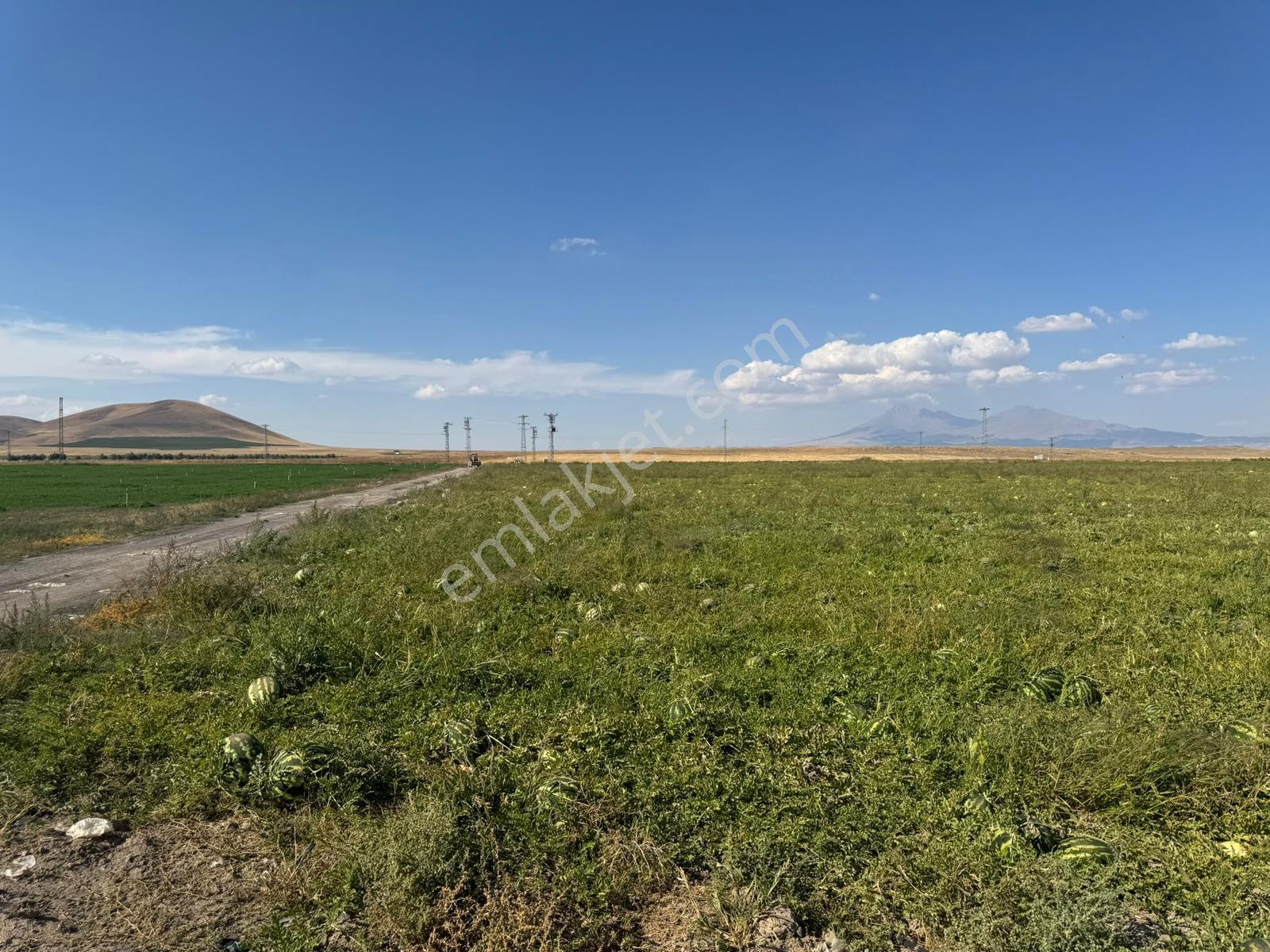 Konya Eregli Zengen 100 Dönüm Tektapu Verimli Satılık Tarla — fotoğraf 14