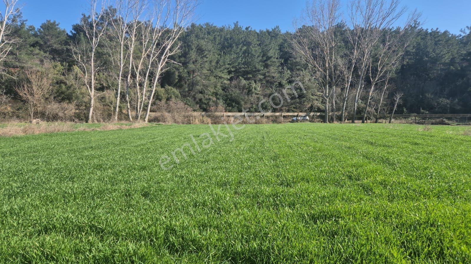 Keşan Mecidiye Köyü Sahil Yoluna Cepheli 2450 M2 Köydibi Parsel