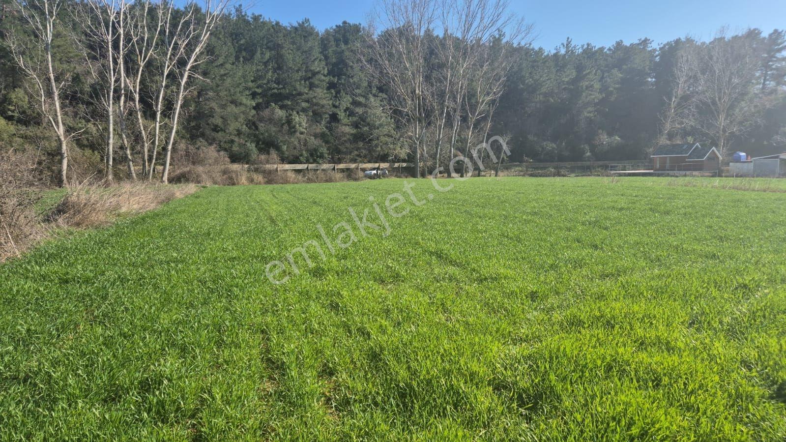 Keşan Mecidiye Köyü Sahil Yoluna Cepheli 2450 M2 Köydibi Parsel — fotoğraf 2