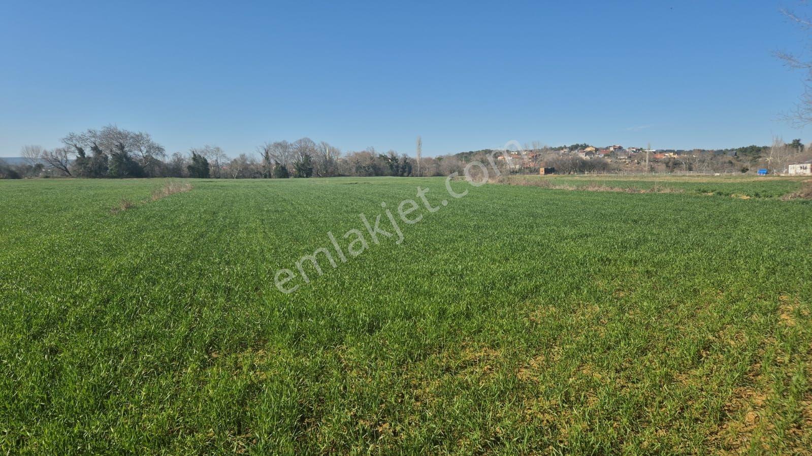 Keşan Mecidiye Köyü Sahil Yoluna Cepheli 2450 M2 Köydibi Parsel — fotoğraf 3