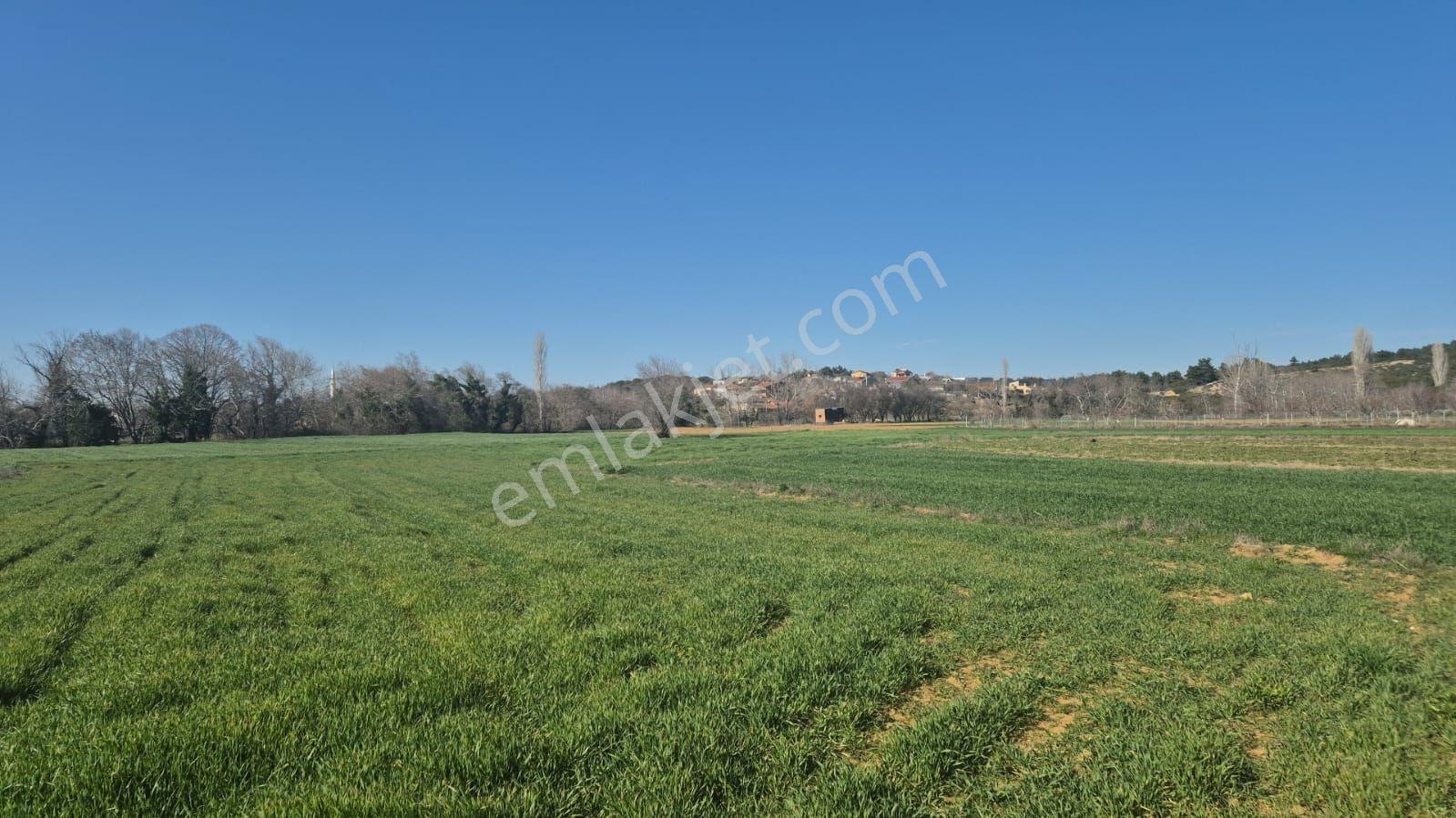 Keşan Mecidiye Köyü Sahil Yoluna Cepheli 2450 M2 Köydibi Parsel — fotoğraf 4