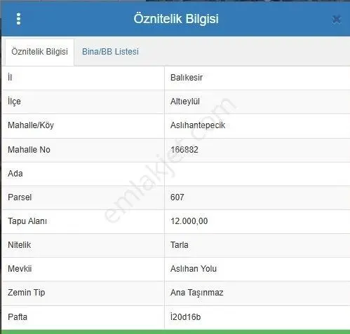 Balıkesir Altıeylül'de 12.000m² Kadastro Yollu Tarla — fotoğraf 3