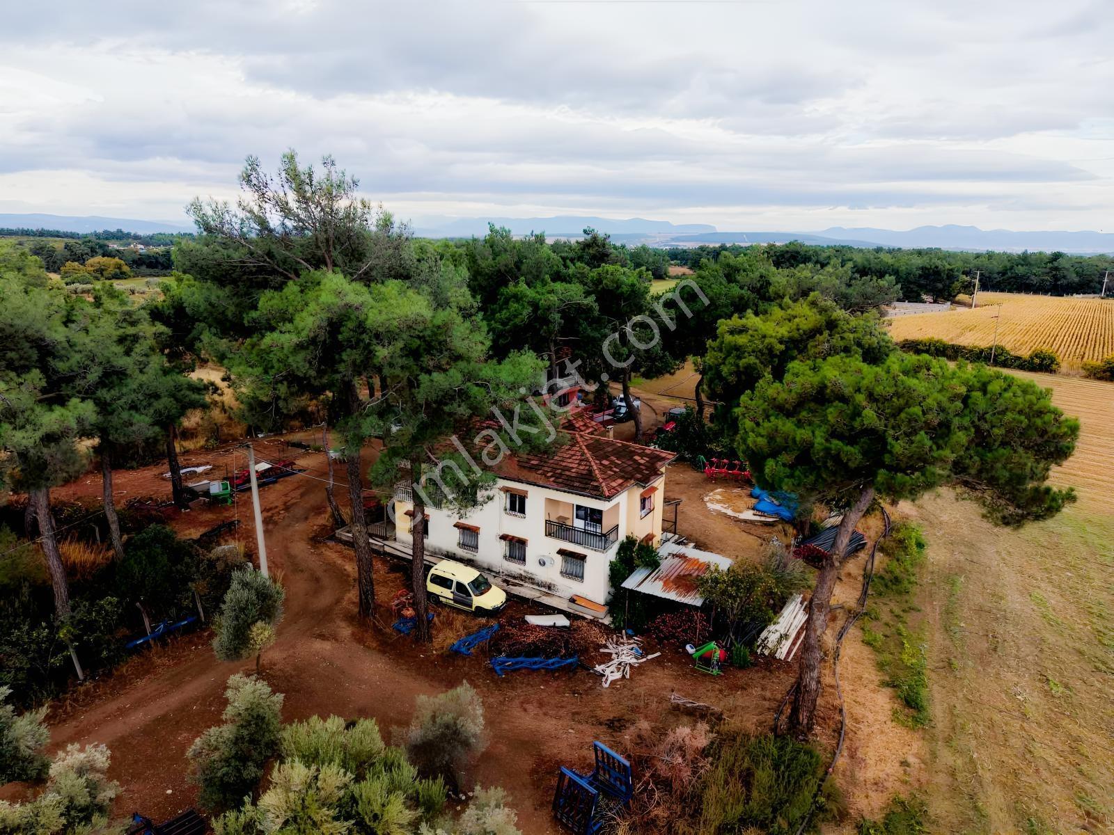 İzmir Buca Karaagaç Köyü Satılık Çiftlik Ve Zeytinlik 46.180 M2