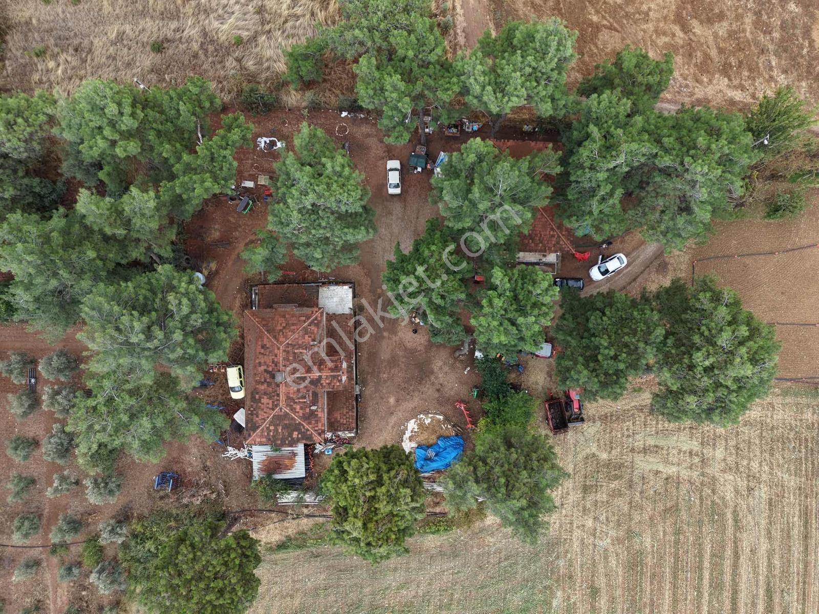 İzmir Buca Karaagaç Köyü Satılık Çiftlik Ve Zeytinlik 46.180 M2 — fotoğraf 2