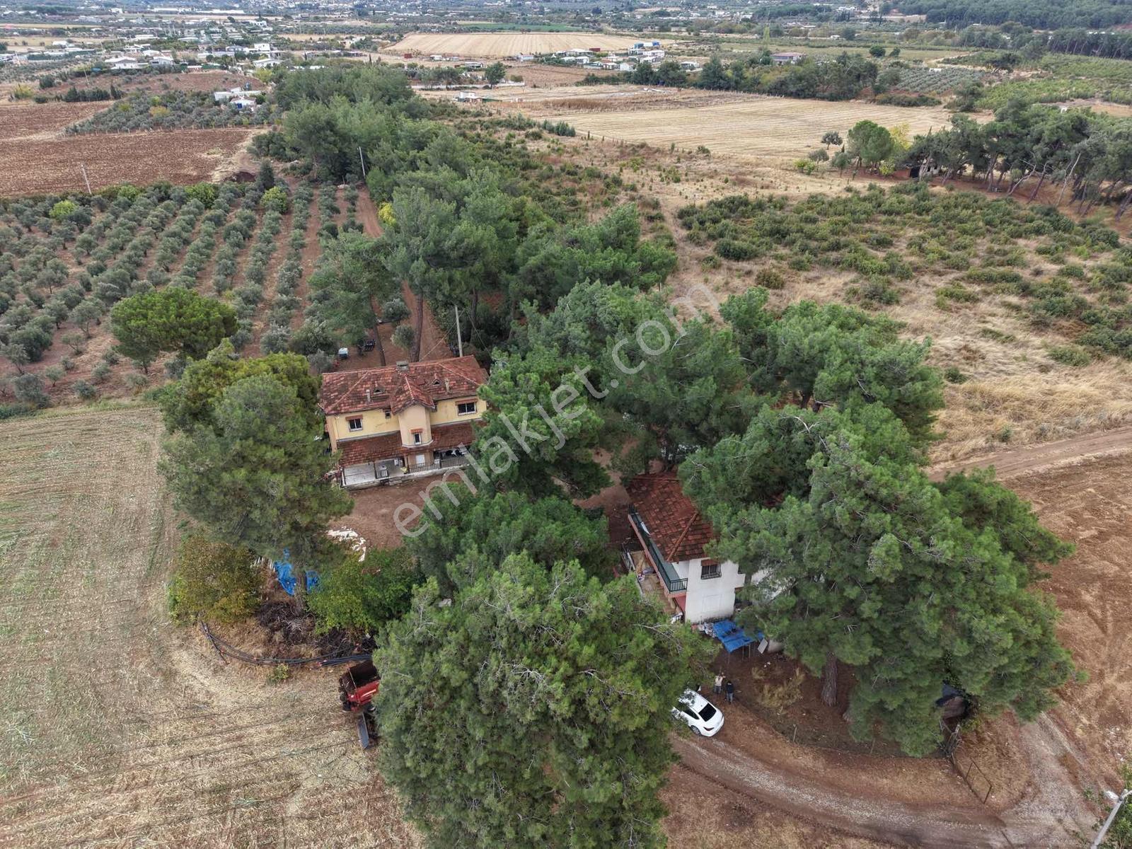 İzmir Buca Karaagaç Köyü Satılık Çiftlik Ve Zeytinlik 46.180 M2 — fotoğraf 3