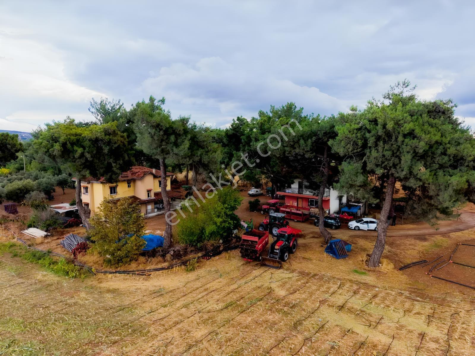 İzmir Buca Karaagaç Köyü Satılık Çiftlik Ve Zeytinlik 46.180 M2 — fotoğraf 4