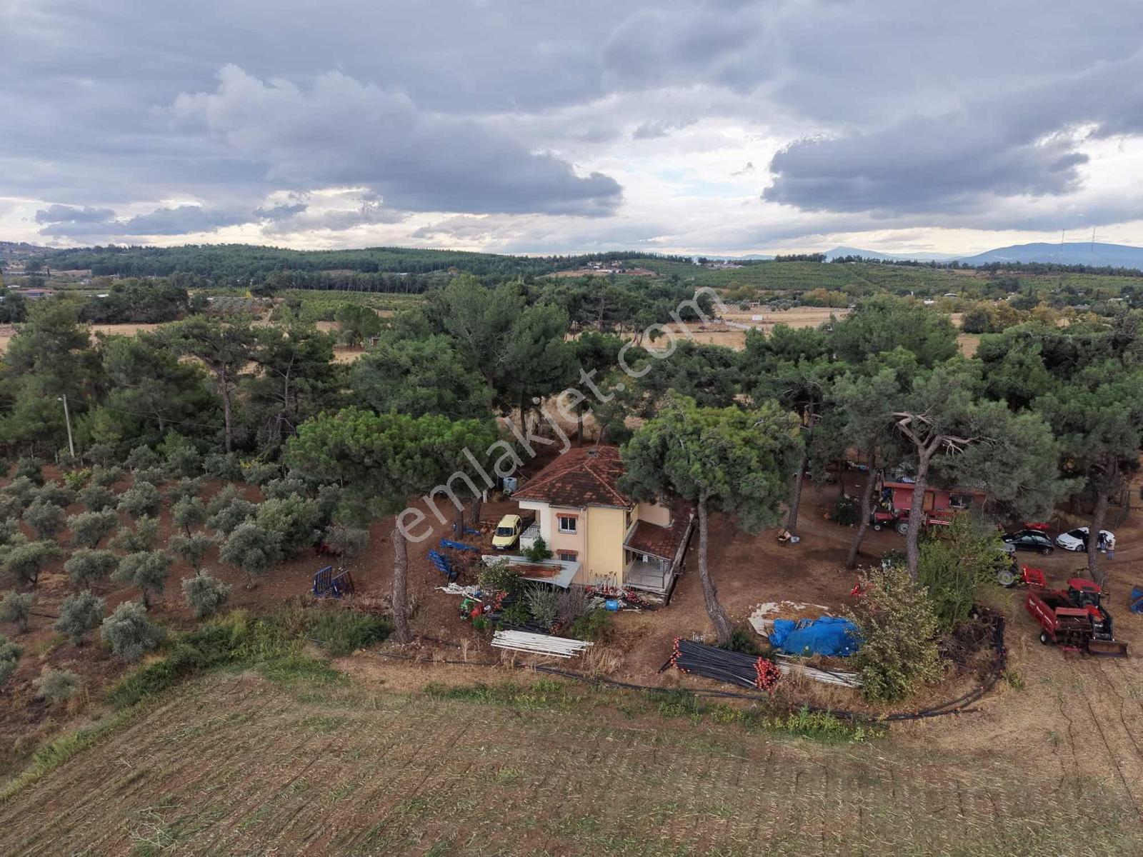 İzmir Buca Karaagaç Köyü Satılık Çiftlik Ve Zeytinlik 46.180 M2 — fotoğraf 7