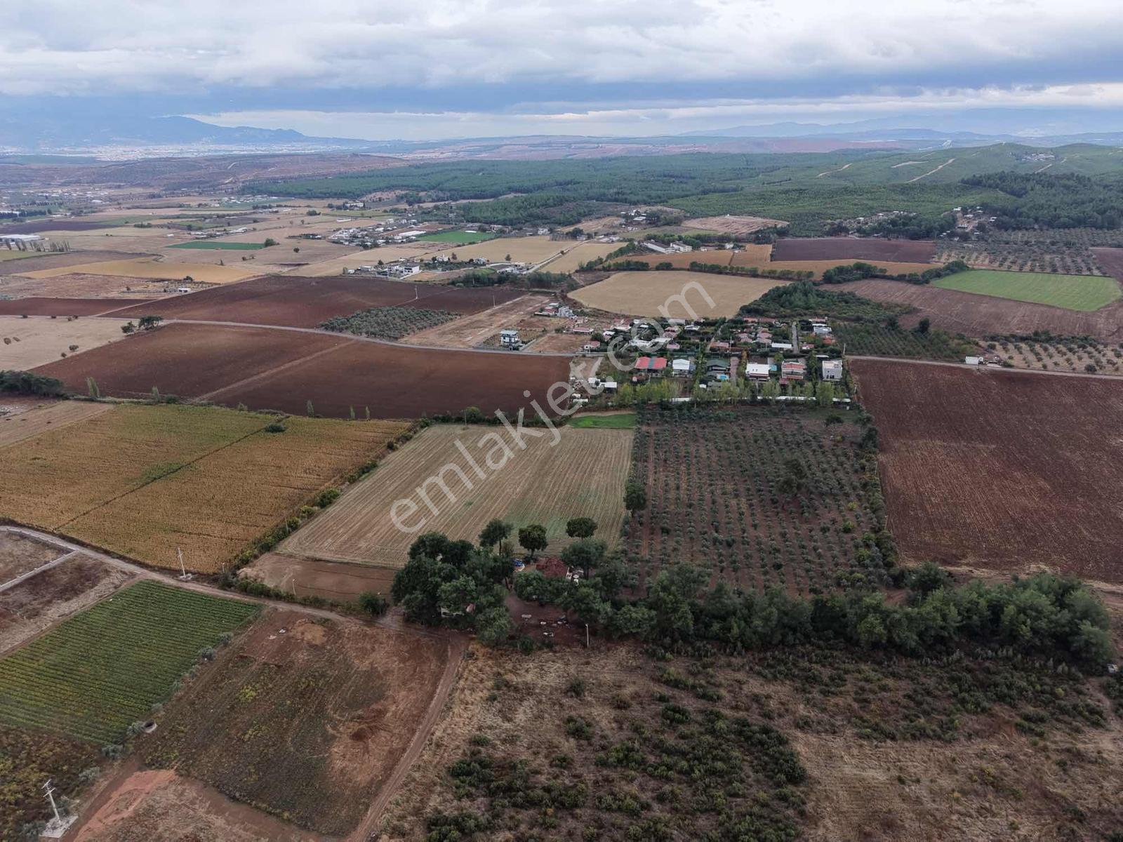 İzmir Buca Karaagaç Köyü Satılık Çiftlik Ve Zeytinlik 46.180 M2 — fotoğraf 8