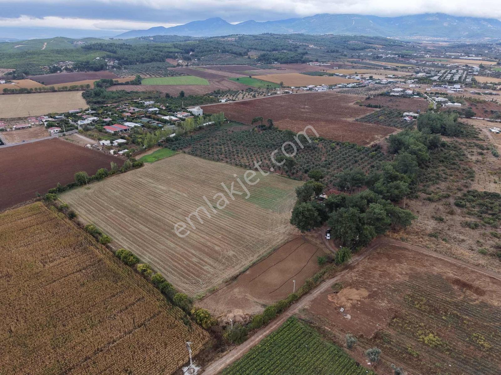 İzmir Buca Karaagaç Köyü Satılık Çiftlik Ve Zeytinlik 46.180 M2 — fotoğraf 10