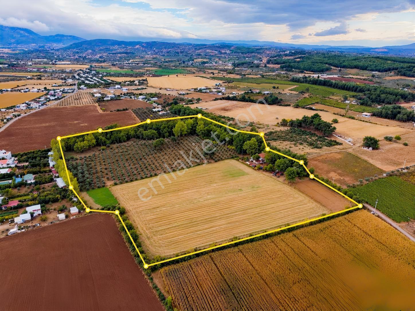 İzmir Buca Karaagaç Köyü Satılık Çiftlik Ve Zeytinlik 46.180 M2 — fotoğraf 13