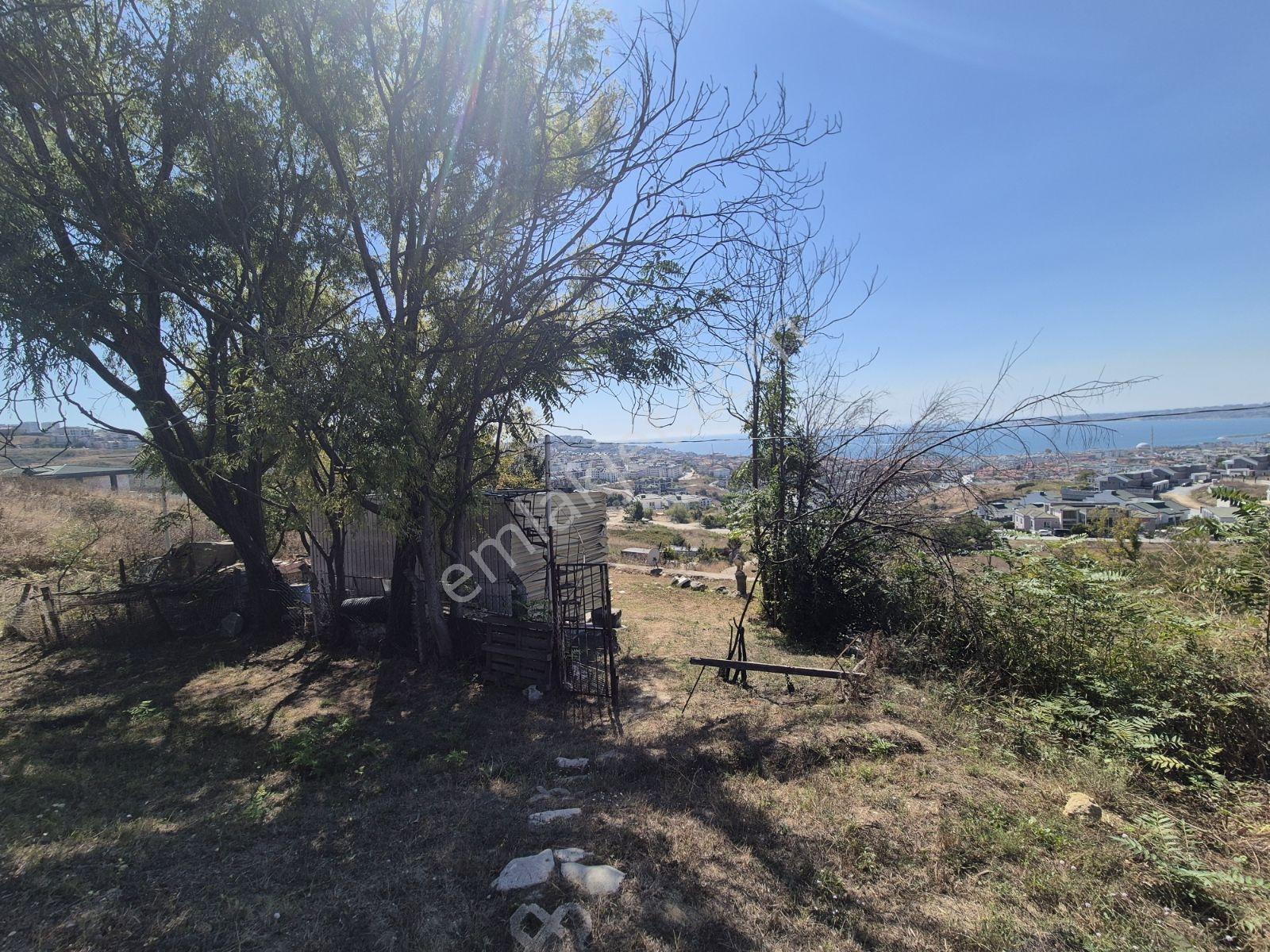 Buyukcekmece Fatih Mah 315m2 Arsada 30m2 Yapi Kayit Belgeli — fotoğraf 6
