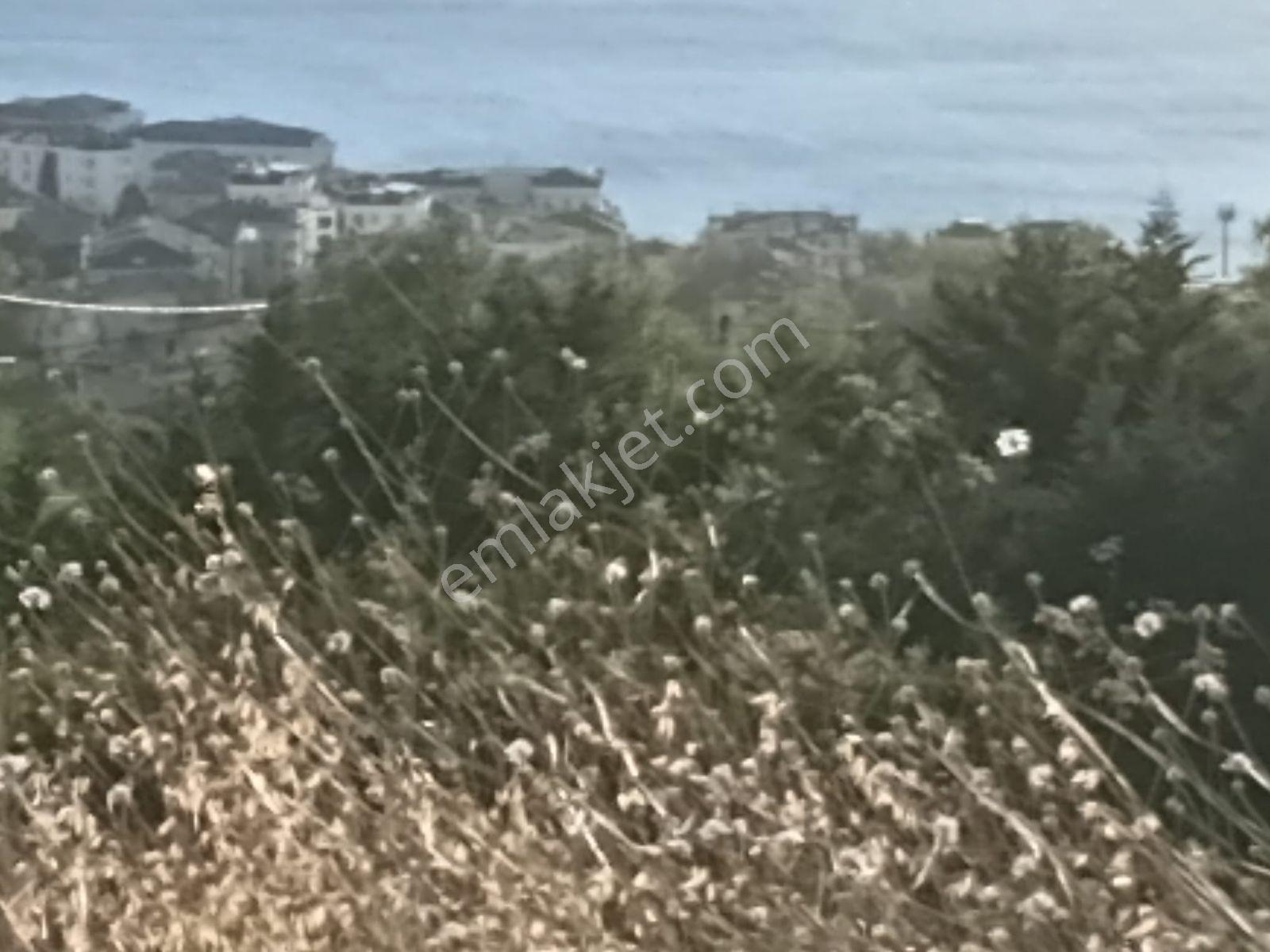 Buyukcekmece Beykent Devlet Hastanesi Ve Perlavistaya Yakin Arsa — fotoğraf 5