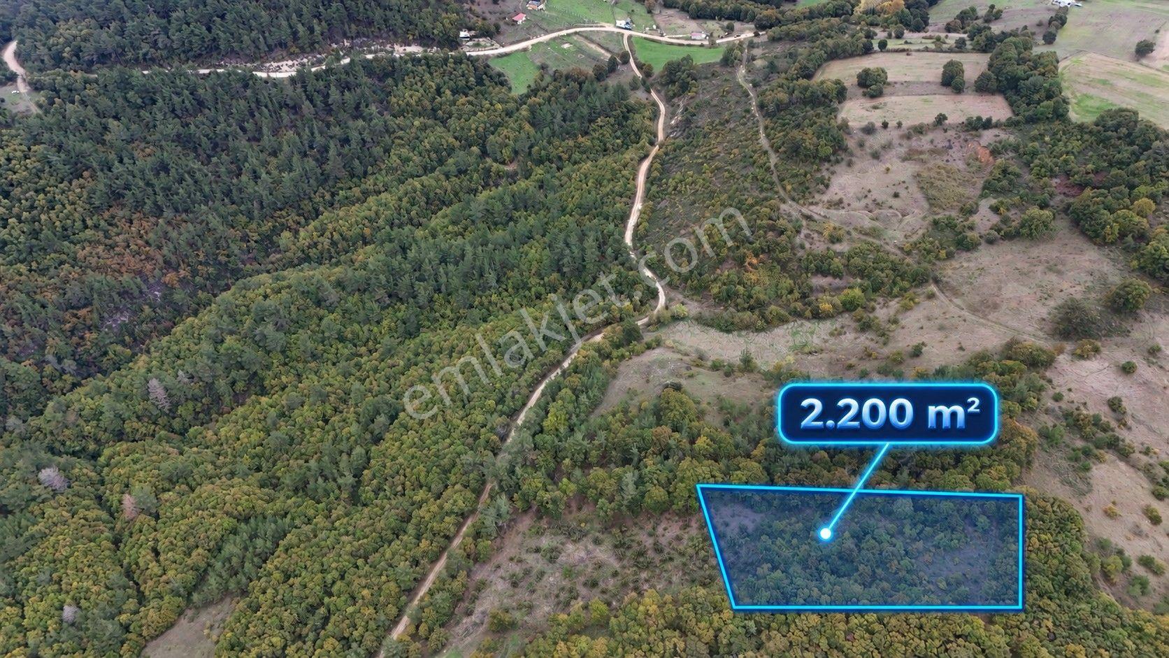 Biga Akkayrak’ta Satılık 2.200 M² Arazi — fotoğraf 2
