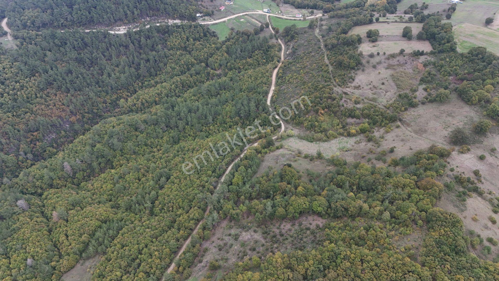 Biga Akkayrak’ta Satılık 2.200 M² Arazi — fotoğraf 3
