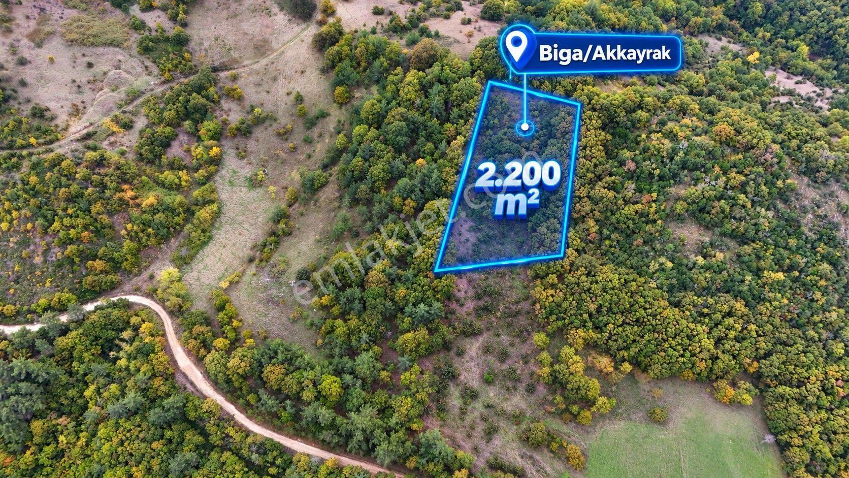 Biga Akkayrak’ta Satılık 2.200 M² Arazi — fotoğraf 4