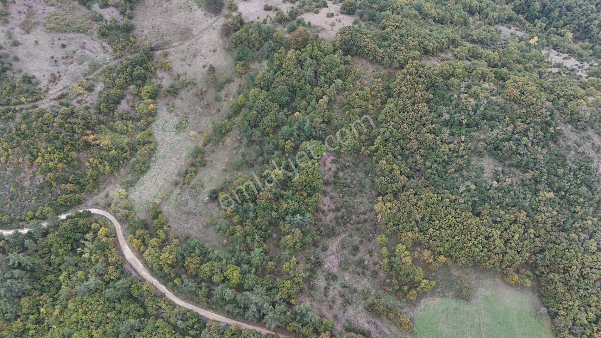 Biga Akkayrak’ta Satılık 2.200 M² Arazi — fotoğraf 5