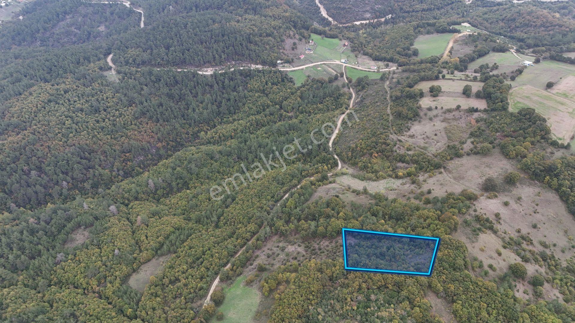 Biga Akkayrak’ta Satılık 2.200 M² Arazi — fotoğraf 6