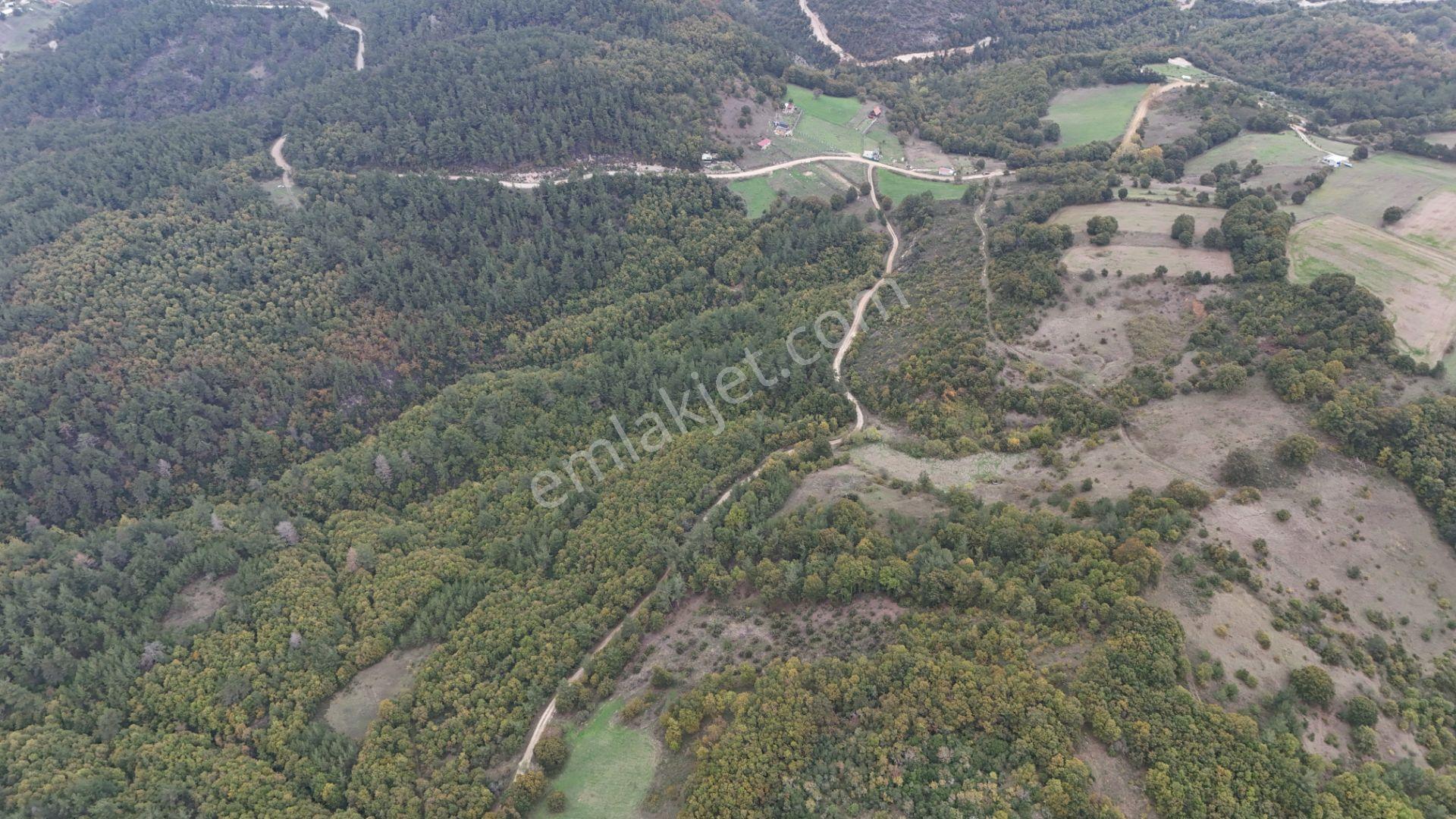 Biga Akkayrak’ta Satılık 2.200 M² Arazi — fotoğraf 7