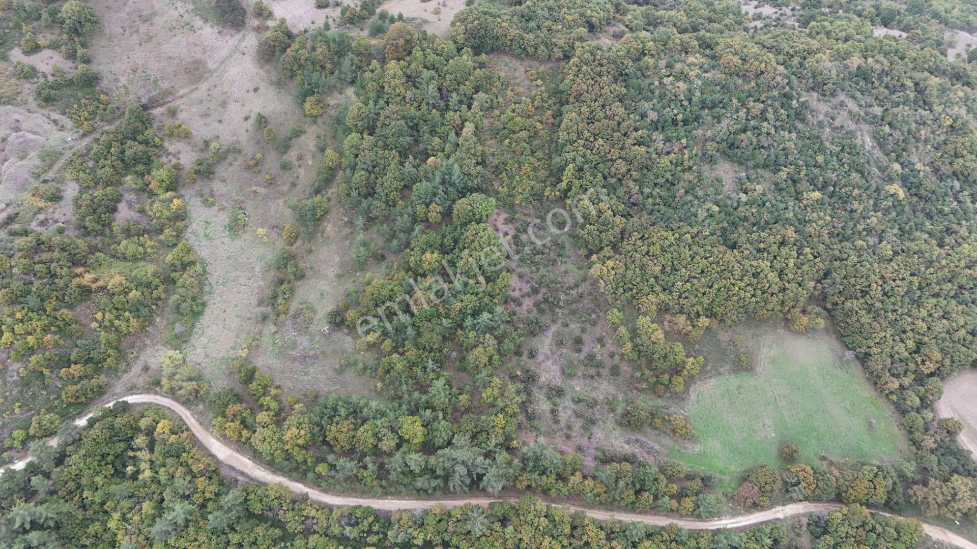 Biga Akkayrak’ta Satılık 2.200 M² Arazi — fotoğraf 8