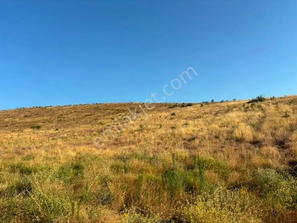 Tc Emlaktan Satılık 78 Dönüm Tarla ! — fotoğraf 3