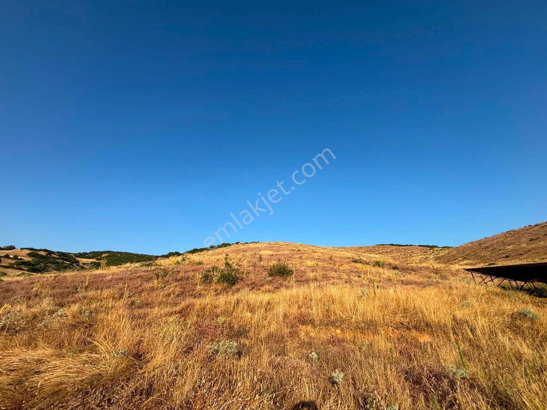Tc Emlaktan Satılık 78 Dönüm Tarla ! — fotoğraf 22