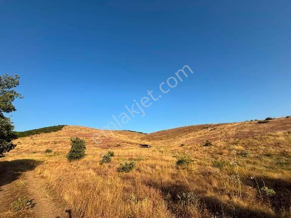 Tc Emlaktan Satılık 78 Dönüm Tarla ! — fotoğraf 30
