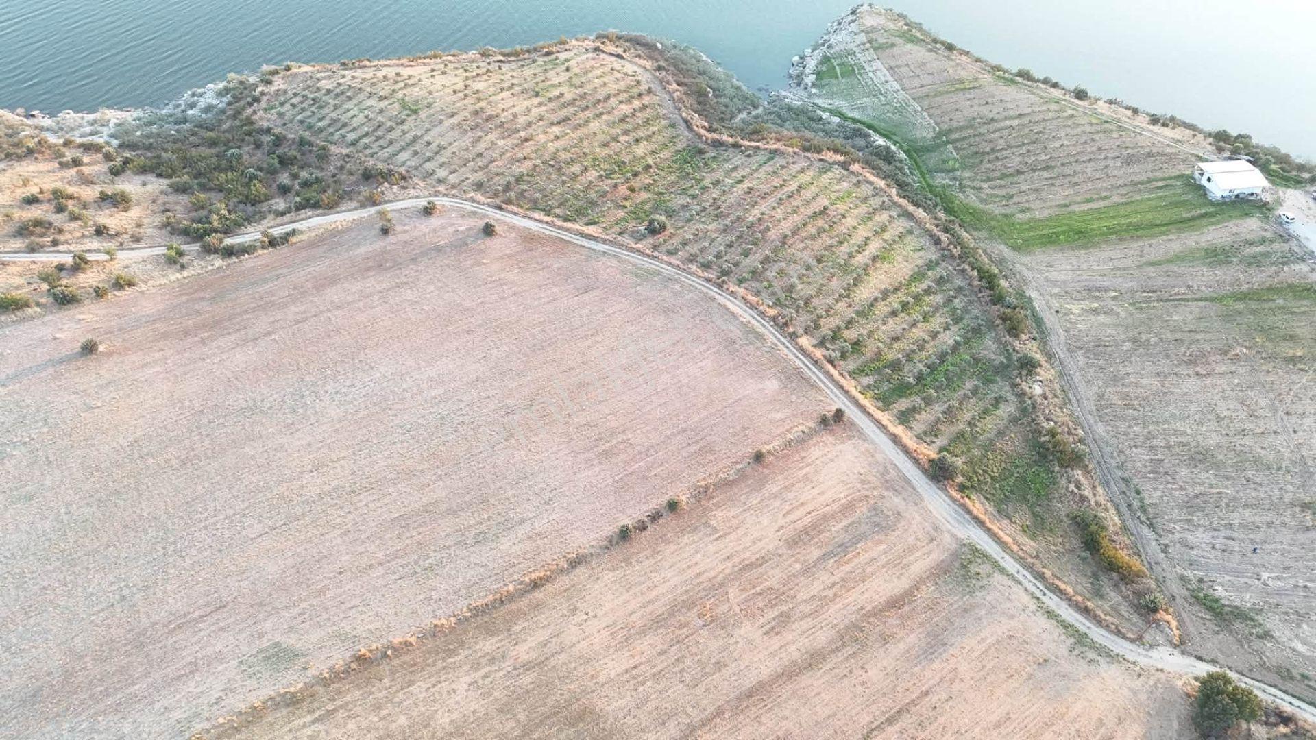 Tc Emlaktan Satılık 23 Dönüm Zeytinlik !baraj Gölüne Sıfır — fotoğraf 3