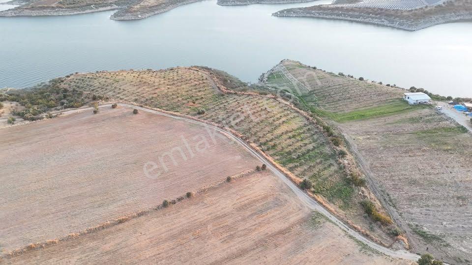 Tc Emlaktan Satılık 23 Dönüm Zeytinlik !baraj Gölüne Sıfır — fotoğraf 17
