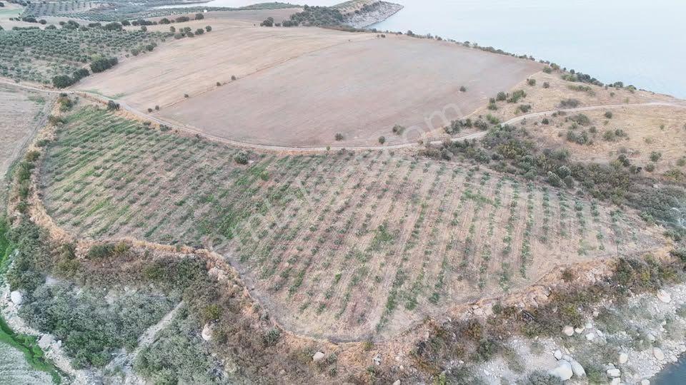 Tc Emlaktan Satılık 23 Dönüm Zeytinlik !baraj Gölüne Sıfır — fotoğraf 20