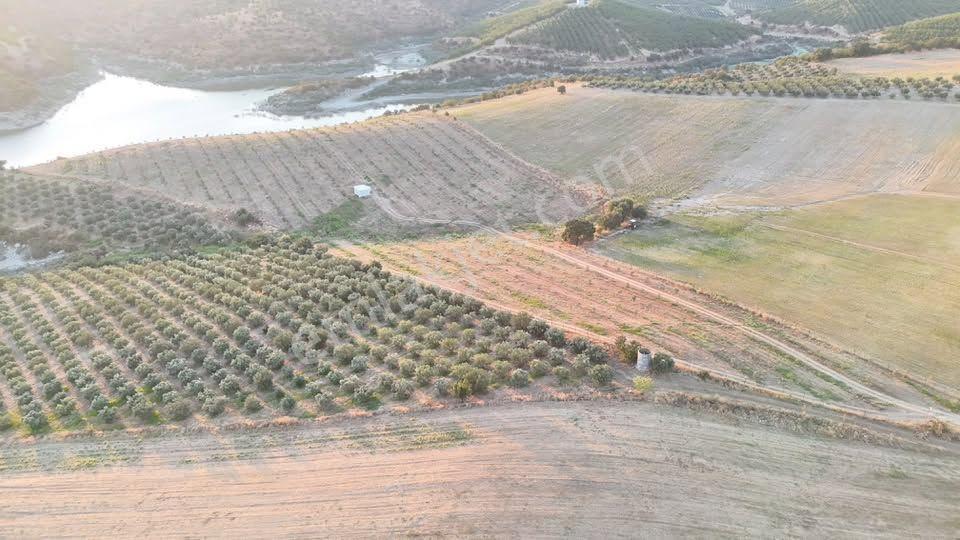 Tc Emlaktan Satılık 23 Dönüm Zeytinlik !baraj Gölüne Sıfır — fotoğraf 21