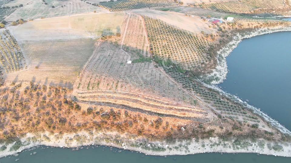 Tc Emlaktan Satılık 23 Dönüm Zeytinlik !baraj Gölüne Sıfır — fotoğraf 24