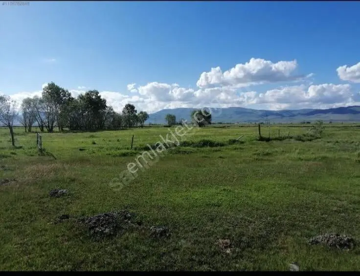 Şah Gym'den Çayırcada Satılık Tarla — fotoğraf 5