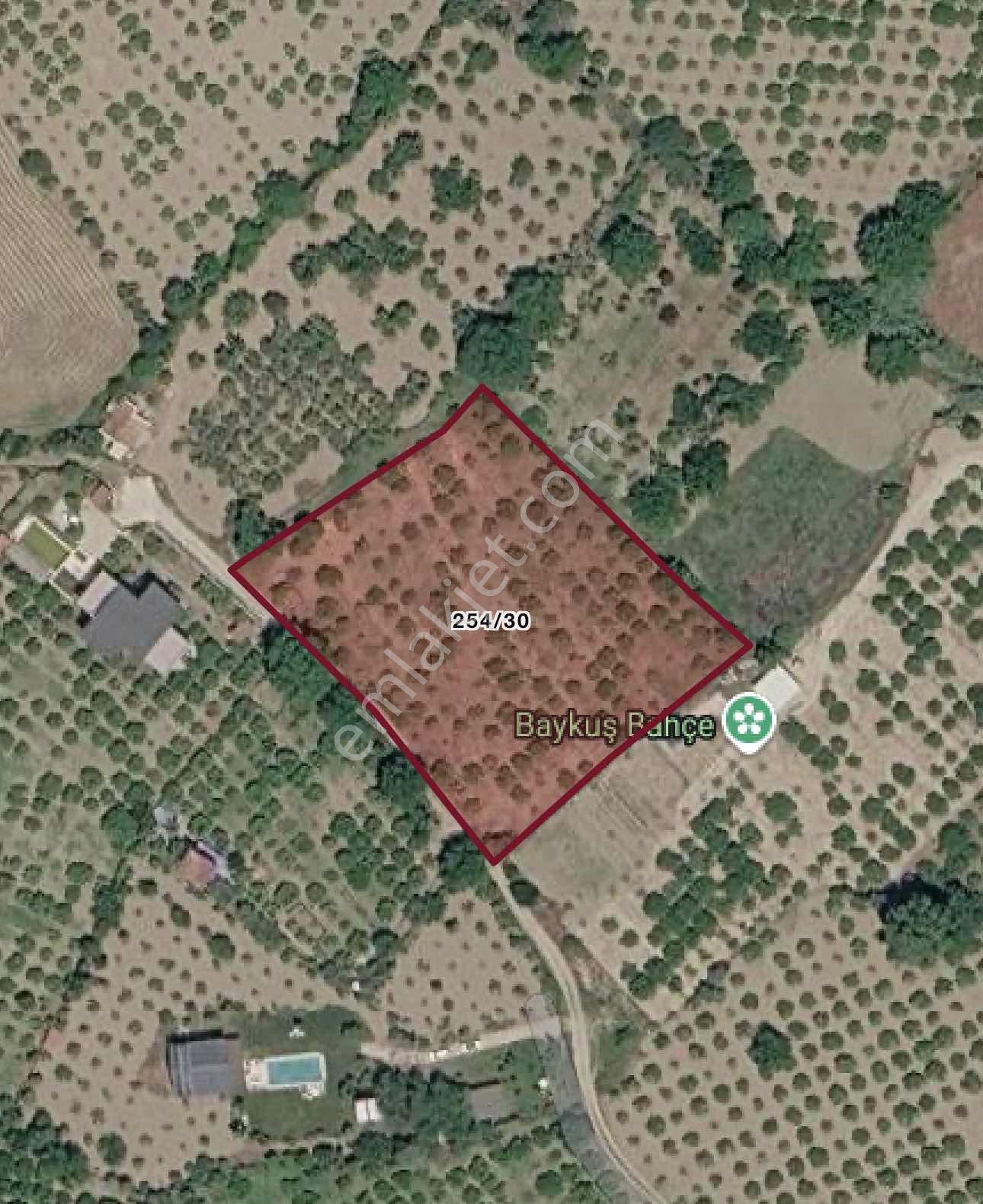 Seferihisar Ulamışta 4.915 M² Müstakil Tapulu Mandalina Bahçesi — fotoğraf 2